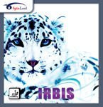 гладкая накладка SPINLORD Irbis красный