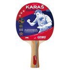 ракетка для настольного тенниса GEWO Karas Feeling